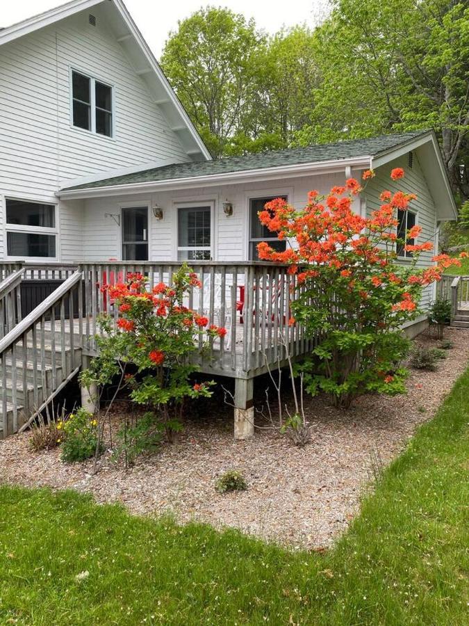 Sea La Vie Apartment Mahone Bay Exterior foto