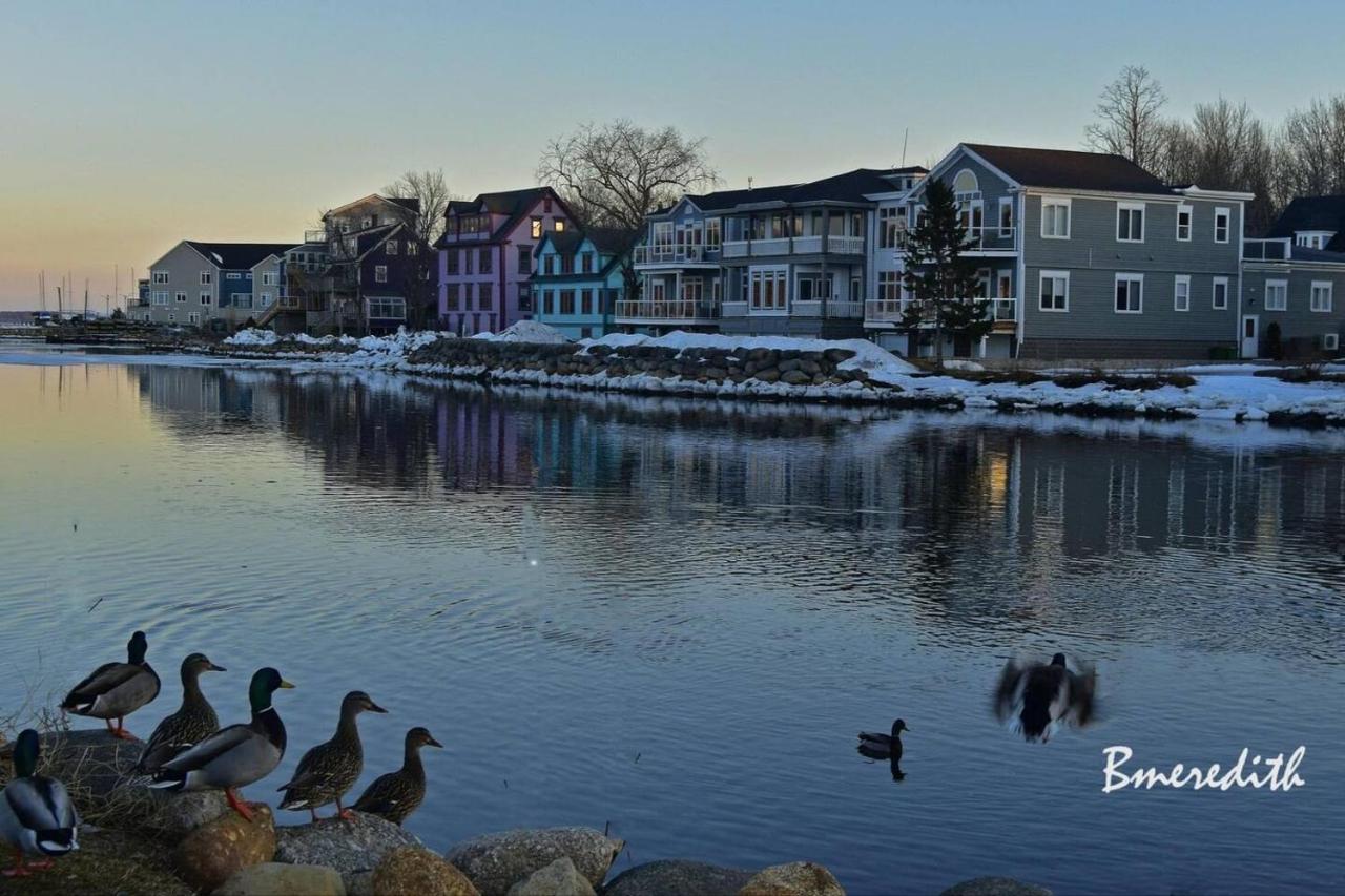 Sea La Vie Apartment Mahone Bay Exterior foto