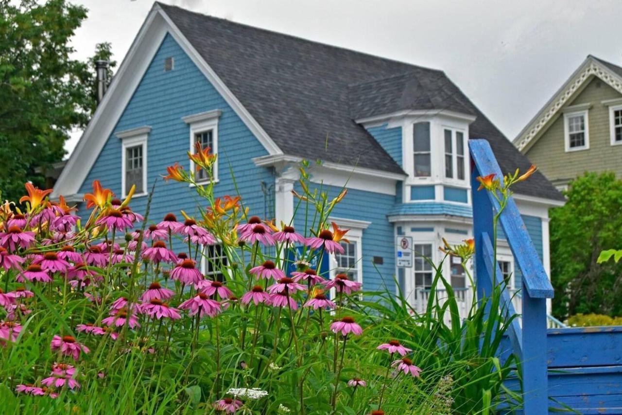 Sea La Vie Apartment Mahone Bay Exterior foto